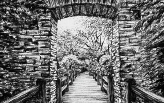 Milwaukee Introduction to Charcoal Drawing